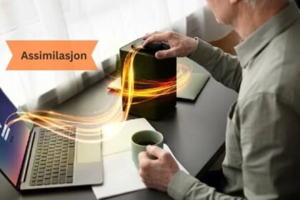 Assimilasjon
